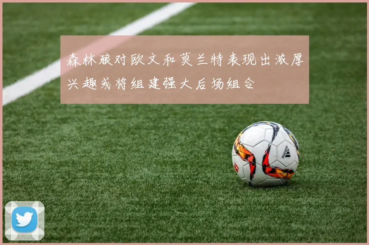 森林狼对欧文和莫兰特表现出浓厚兴趣或将组建强大后场组合
